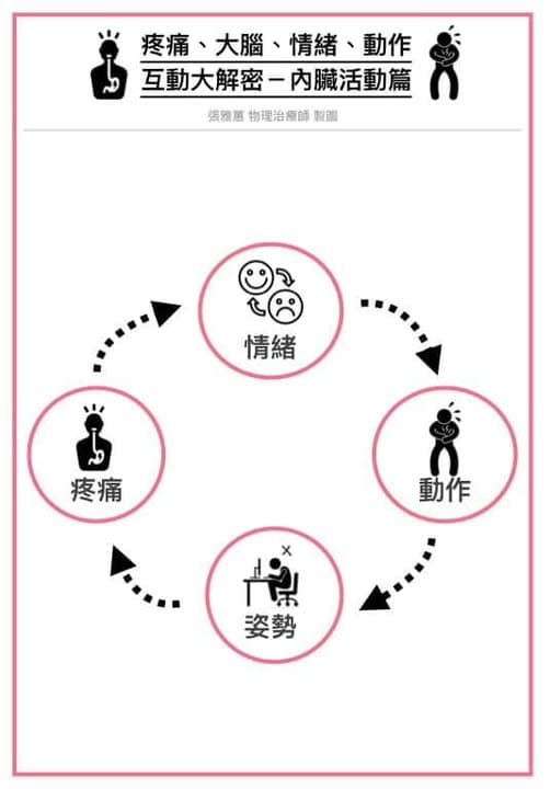 疼痛大腦情緒動作互動大解密-內臟活動篇 身體疼與情緒,姿勢及動作的關係