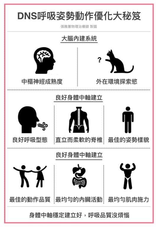 DNS姿勢呼吸動作優化大秘技 DNS呼吸姿勢動作優化秘笈