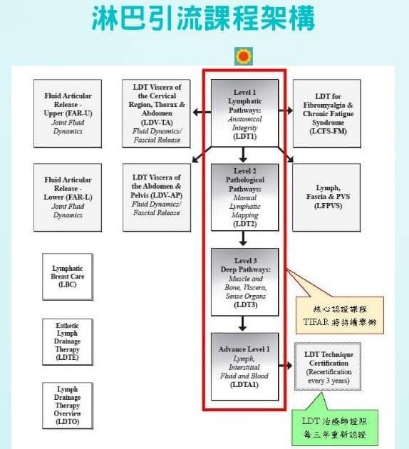 物理治療進修 : 淋巴引流治療 LDT1 課後心得 淋巴引流治療課程架構